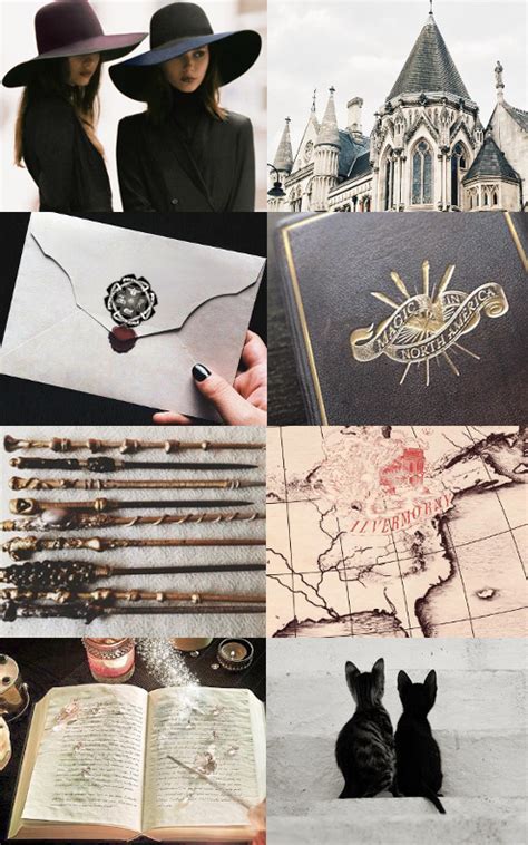 The Quidditch Team of Ilvermorny Witches and Wizards Academy: Champions in the Making